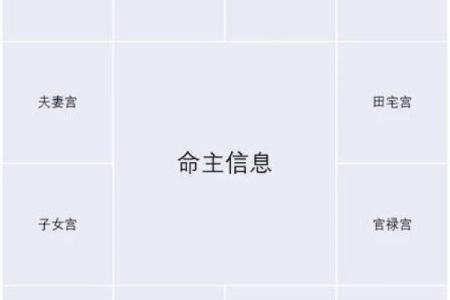 十二宫紫薇斗数