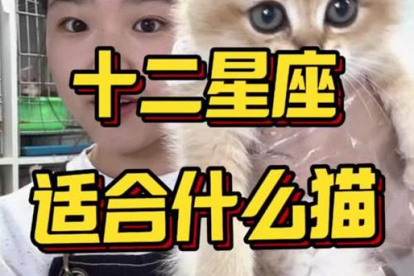 这个星座适合养什么猫咪