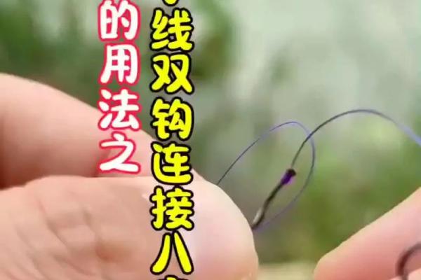 八字环双钩 八字环双钩