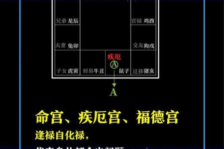 紫薇斗数福德大运